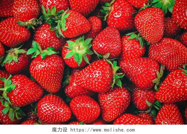 许多带有绿色茎的红色成熟草莓